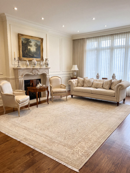 Ковер 2,47х3,44 Indien Elysee